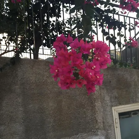 Fichera Monolocale Apartamento
